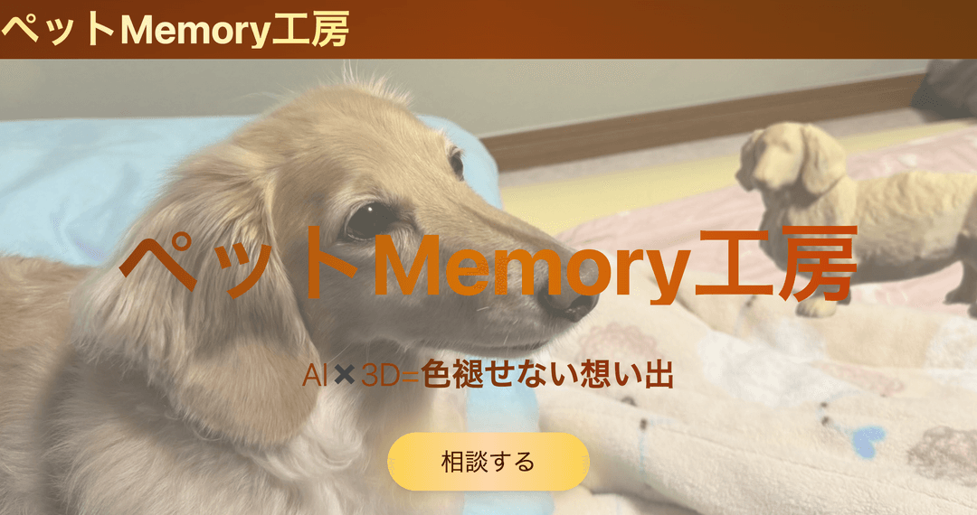 Pet Memory Workshop